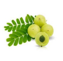 AMLA WHOLE 310g